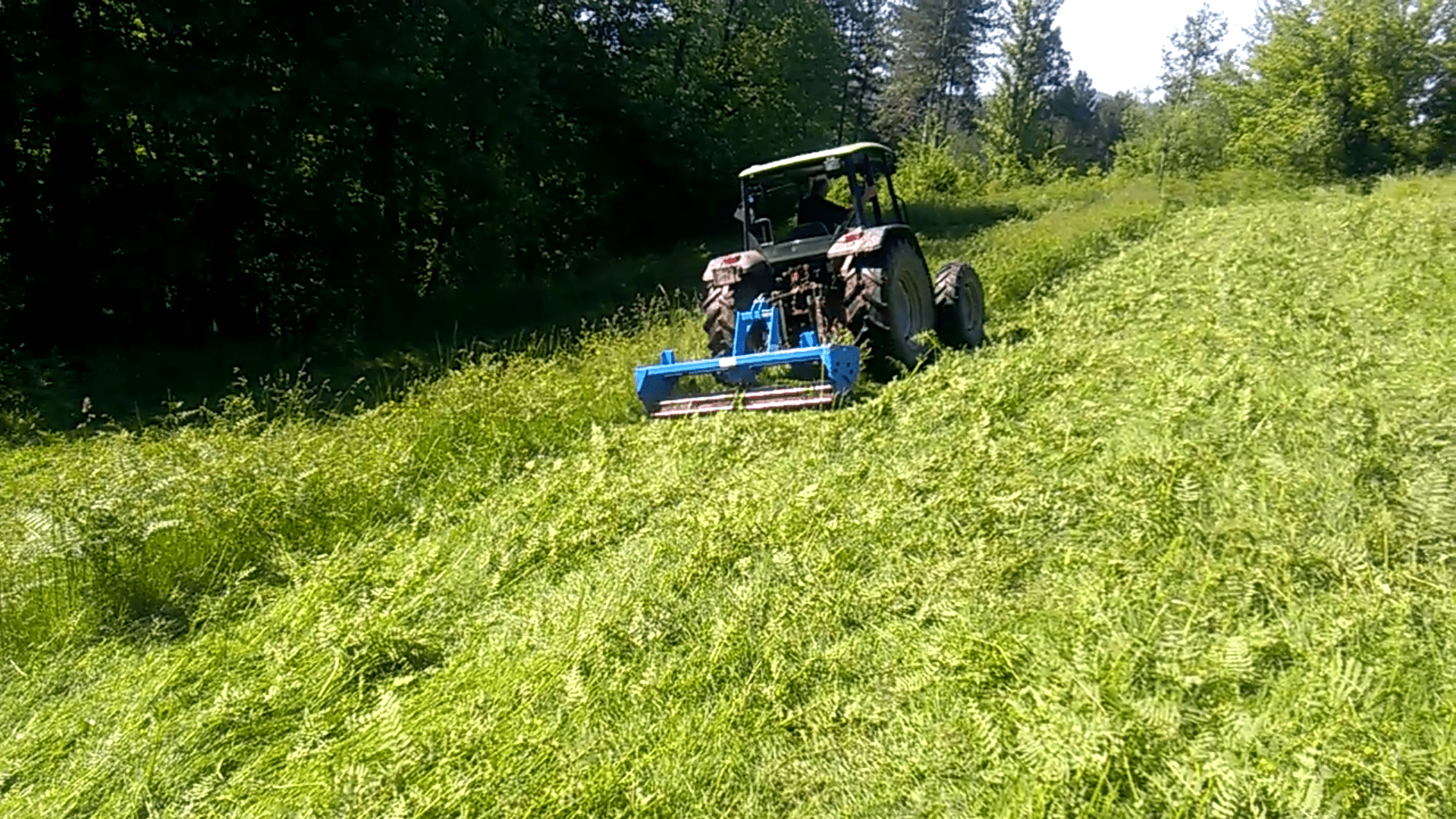 Rouleaux Écrase / Brise Fougères
