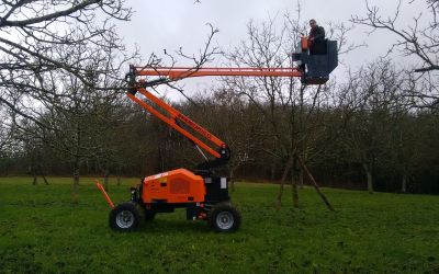 Sylvinov - matériel forestier, plantation, tropical, reboisement, entretien  - Combinés pour bois de chauffage PILKEMASTER EVO 30 / EVO 36