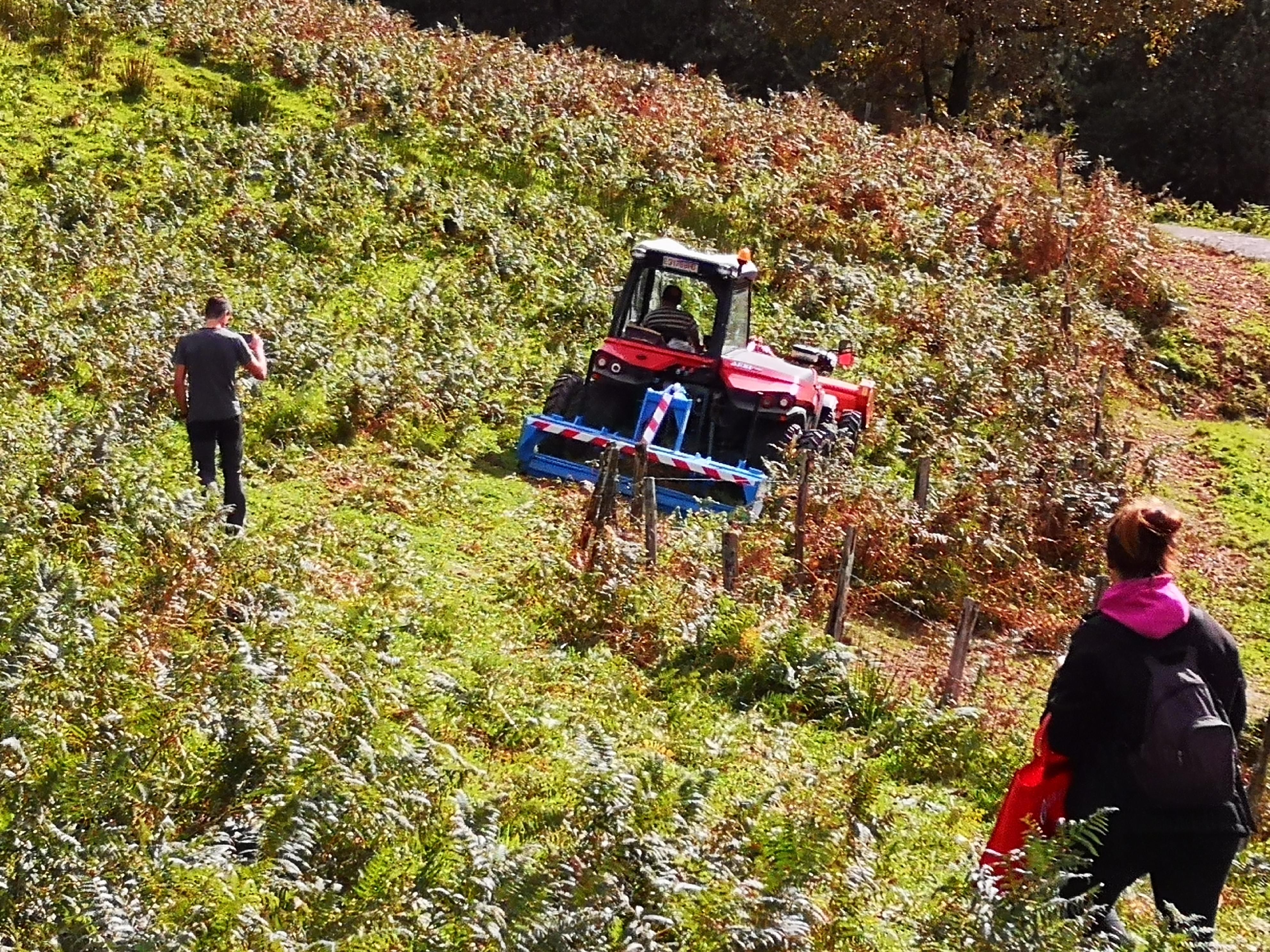 Rouleaux Écrase / Brise Fougères