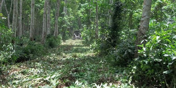 Sylvinov - matériel forestier, plantation, tropical, reboisement, entretien  - Fabricant français, distributeur et réparateur de matériel forestier�